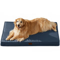 WaterGuard Orthopedic Large Dog Bed 36x27