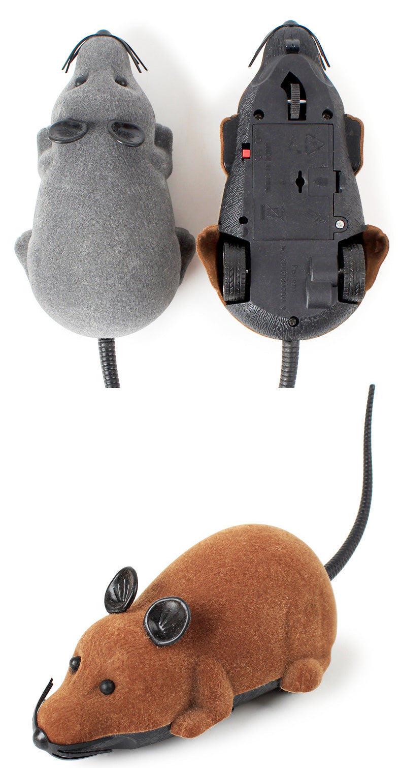 RoboMouse Cat Toy