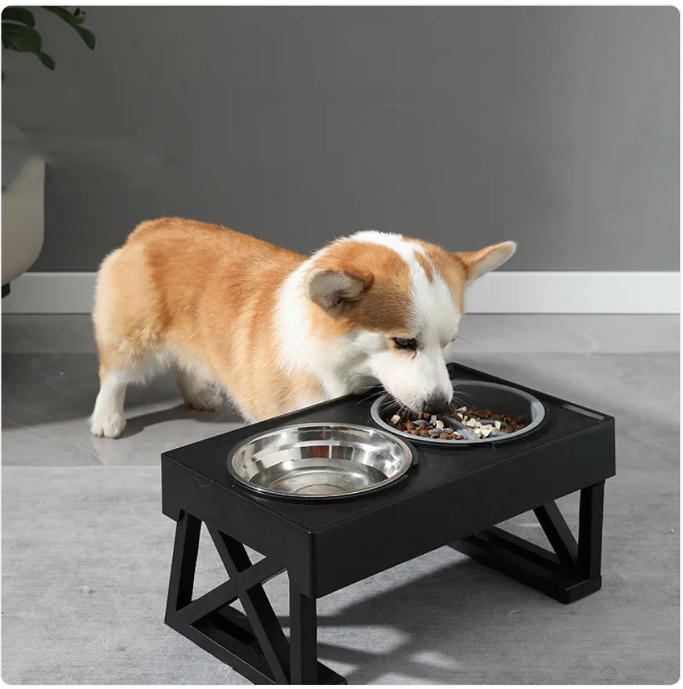 Adjustable Height Slow-Feeder for Dogs