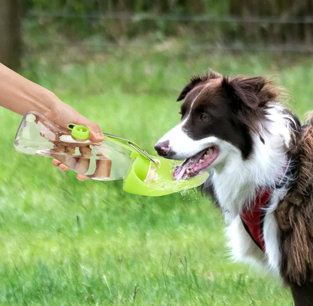 Travel Pup Water Flask