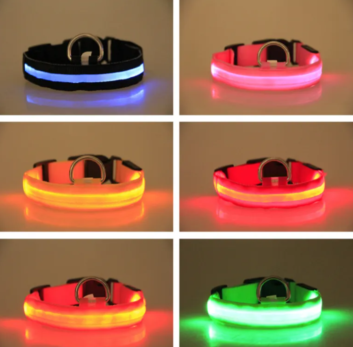 GlowSafe LED Dog Collar