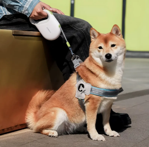 SmoothLock Retractable Dog Leash