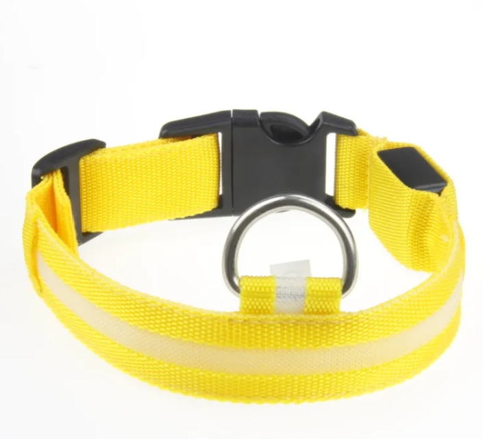 GlowSafe LED Dog Collar