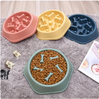 Healthy Pace Dog Bowl