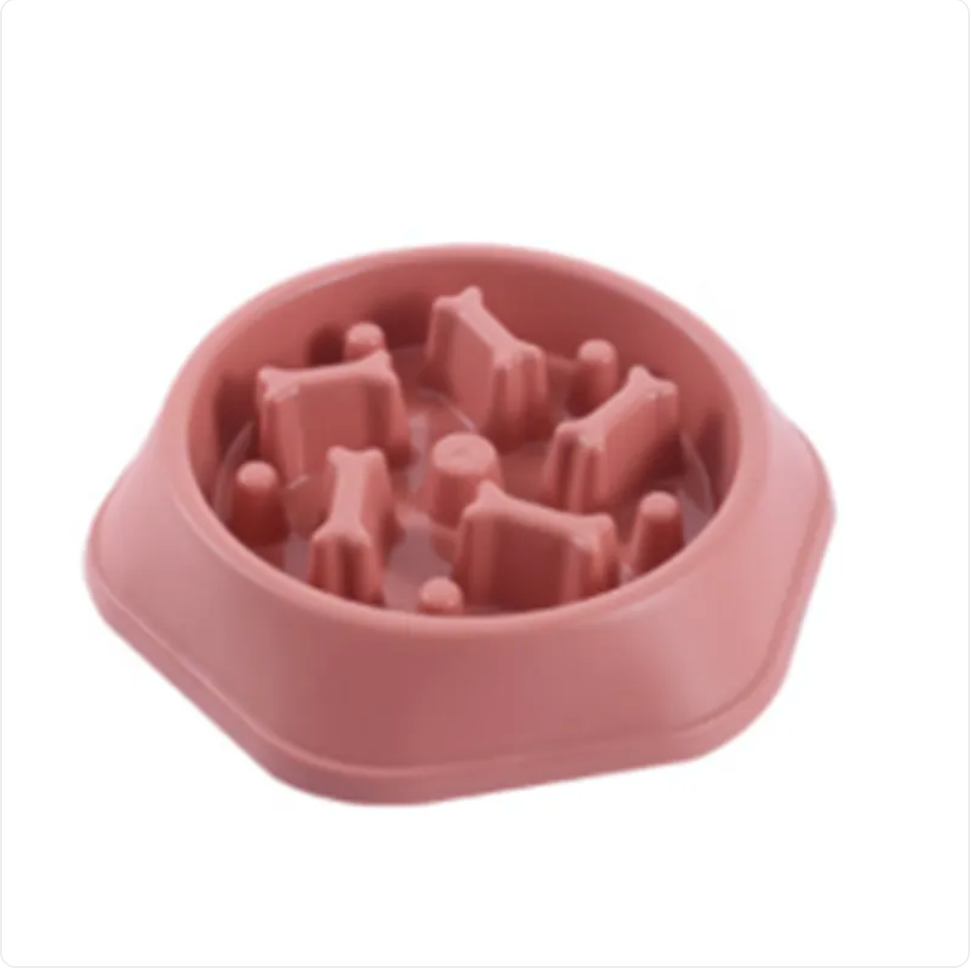 Healthy Pace Dog Bowl