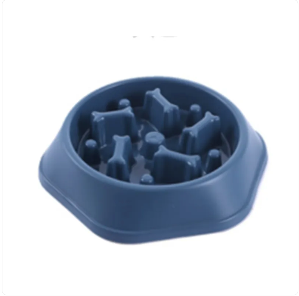 Healthy Pace Dog Bowl