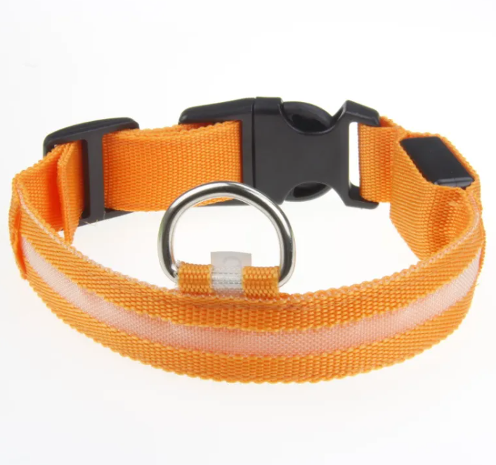 GlowSafe LED Dog Collar