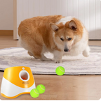 FetchMate Auto Ball Thrower