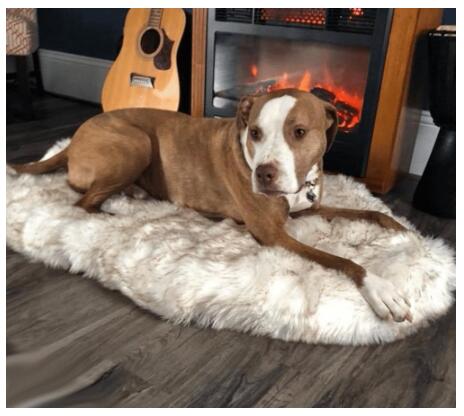 Deluxe Faux Fur Dog Mat for Large Breeds