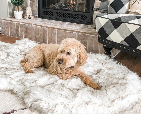 LuxFur Orthopedic Canine Bed
