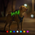LED Glow Dog Harness - 7 Color, Rechargeable, Adjustable