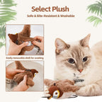 Feline Fun Bird Toy