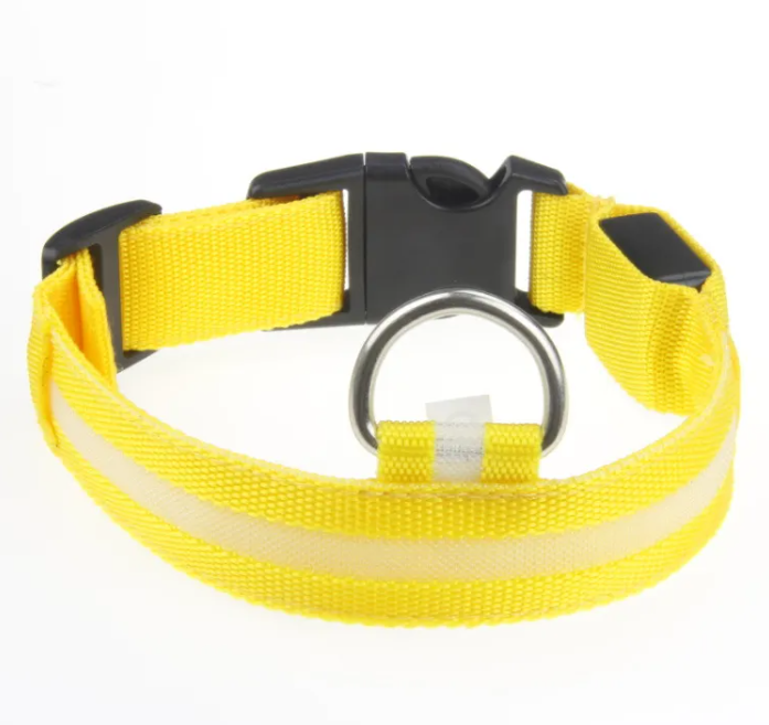 GlowSafe LED Dog Collar
