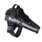 SafeStrap Reflective Dog Harness