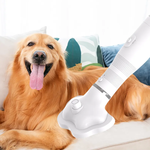 Dual Pet Dryer & De-Fur