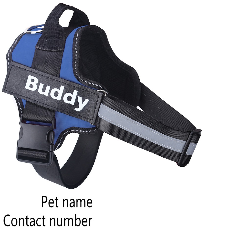 SafeStrap Reflective Dog Harness