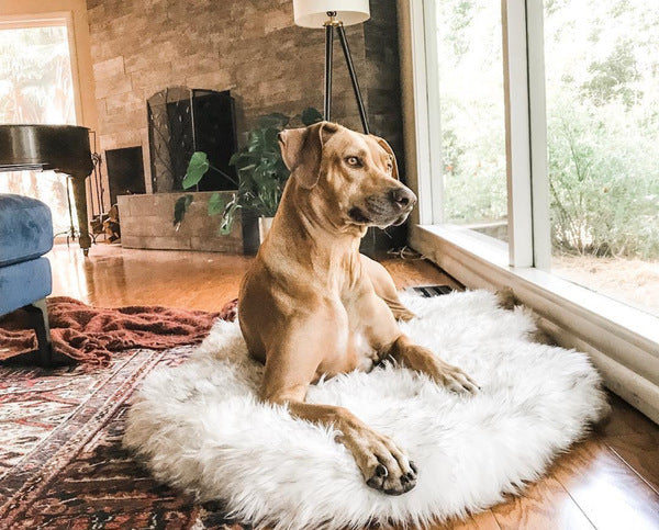 LuxFur Orthopedic Canine Bed