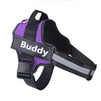 SafeStrap Reflective Dog Harness