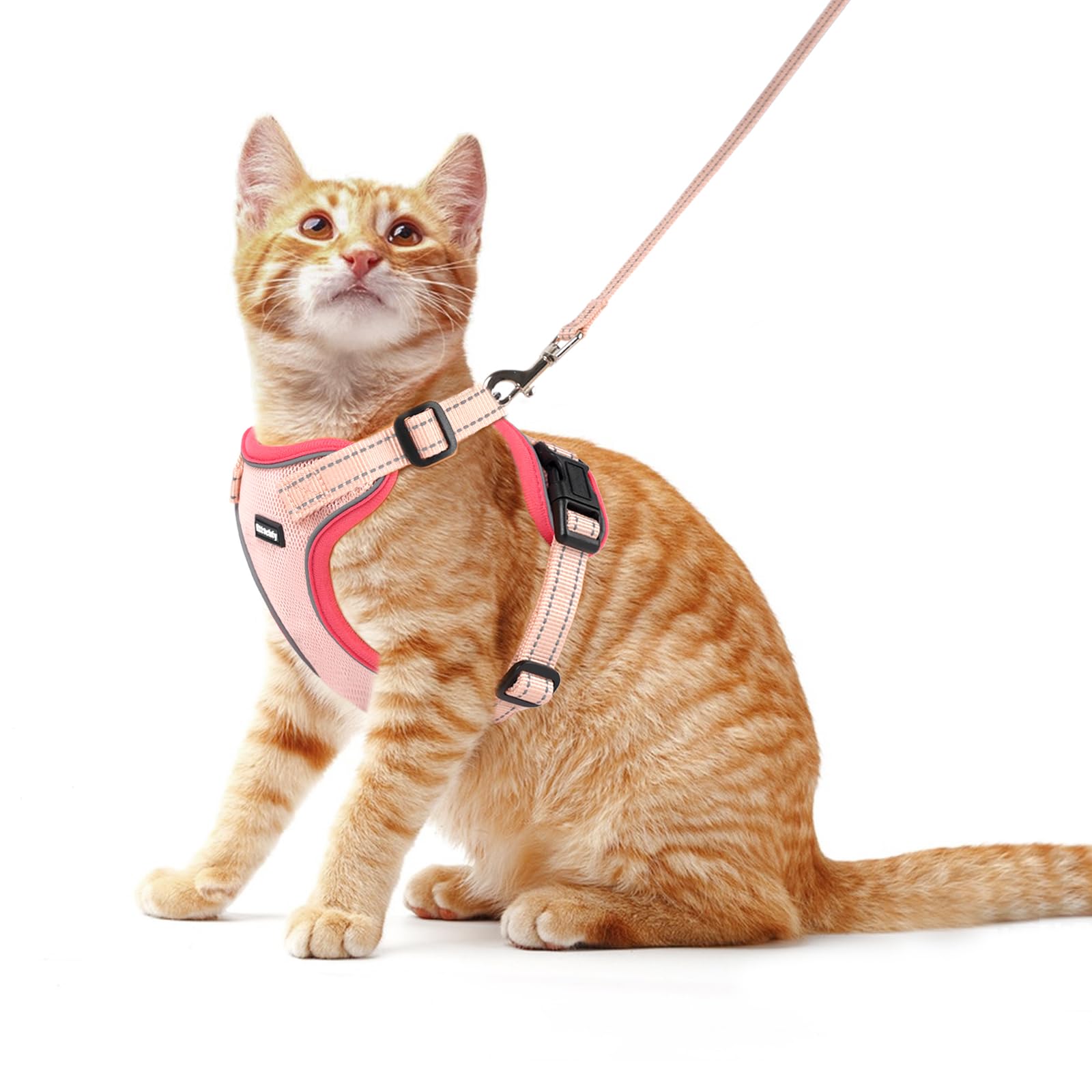 GlowBright Cat Harness Set - Adjustable & Reflective