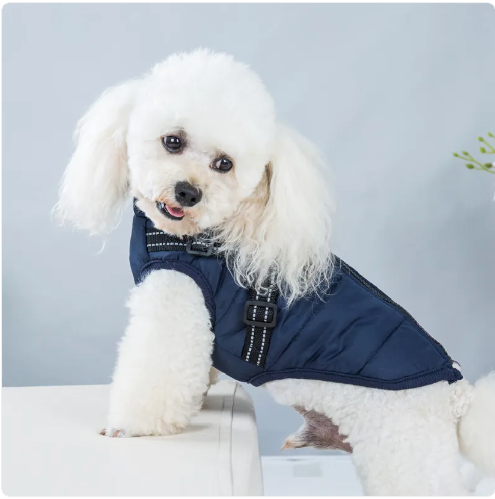 Winter Warmth Pet Vest