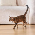 Interactive Laser Cat Collar