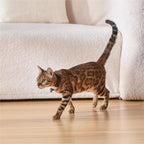 Interactive Laser Cat Collar
