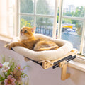 Cozy Cat Window Lounge