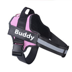 SafeStrap Reflective Dog Harness