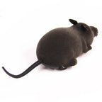 RoboMouse Cat Toy