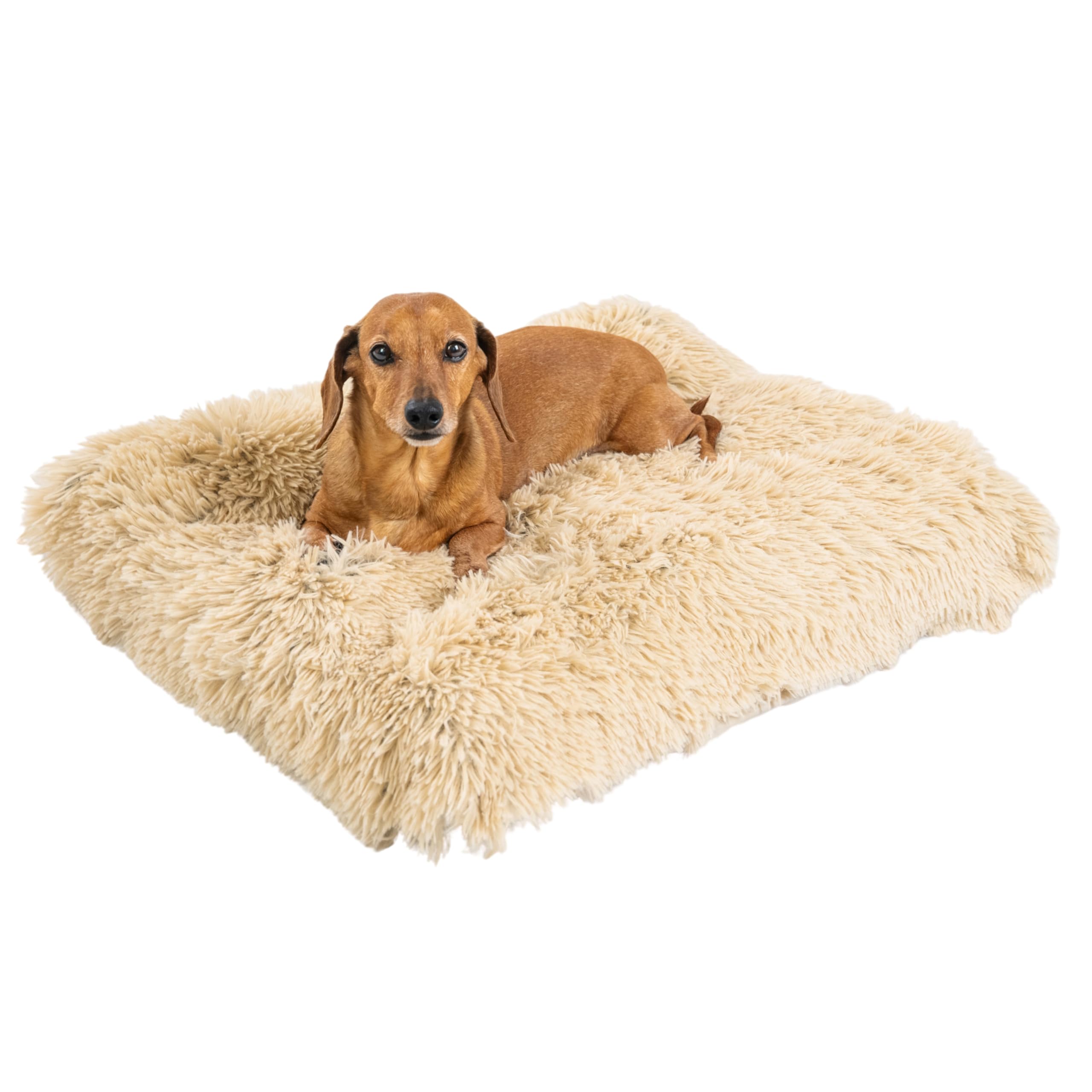 4-in-1 Orthopedic Dog Nap Mat by Best Friends, Small