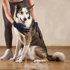 Pet Care Massage Gloves