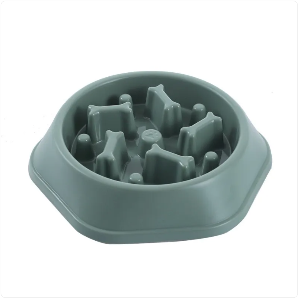 Healthy Pace Dog Bowl