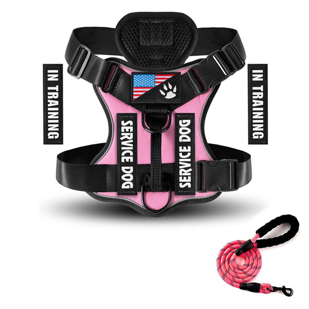 AdjustaGlow Soft Padded Dog Harness – No Pull & No Choke