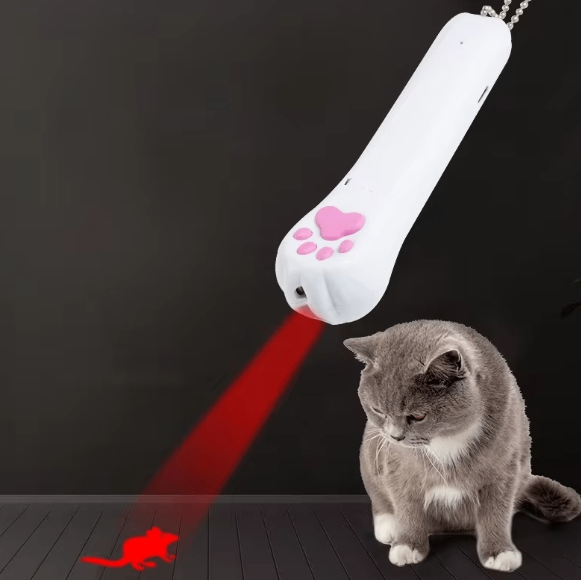 Playful Laser Pet Toy with USB Charge