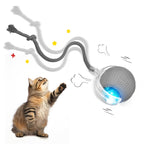 AutoMove 360° Interactive Pet Toy