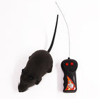 RoboMouse Cat Toy