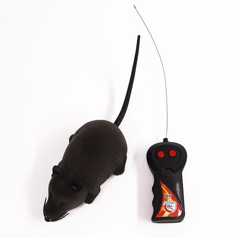 RoboMouse Cat Toy