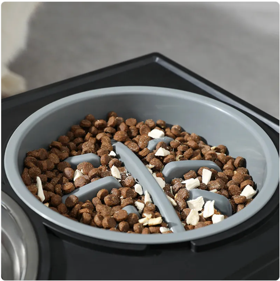Adjustable Height Slow-Feeder for Dogs