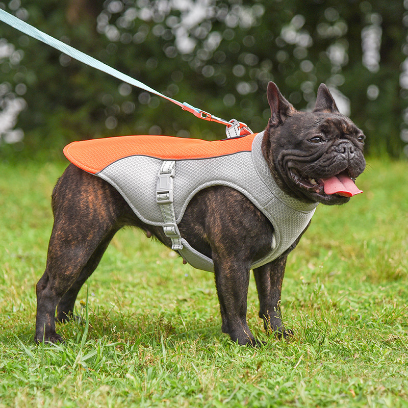 Pet Chill Vest
