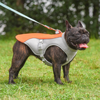 Pet Chill Vest