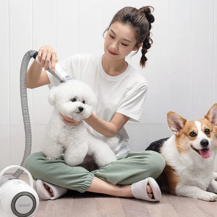 EasyPet Groom & Shave Tool