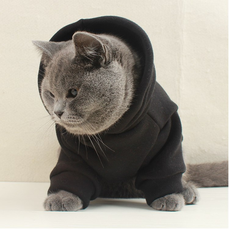 Custom Tailored Pet Sweatshirts