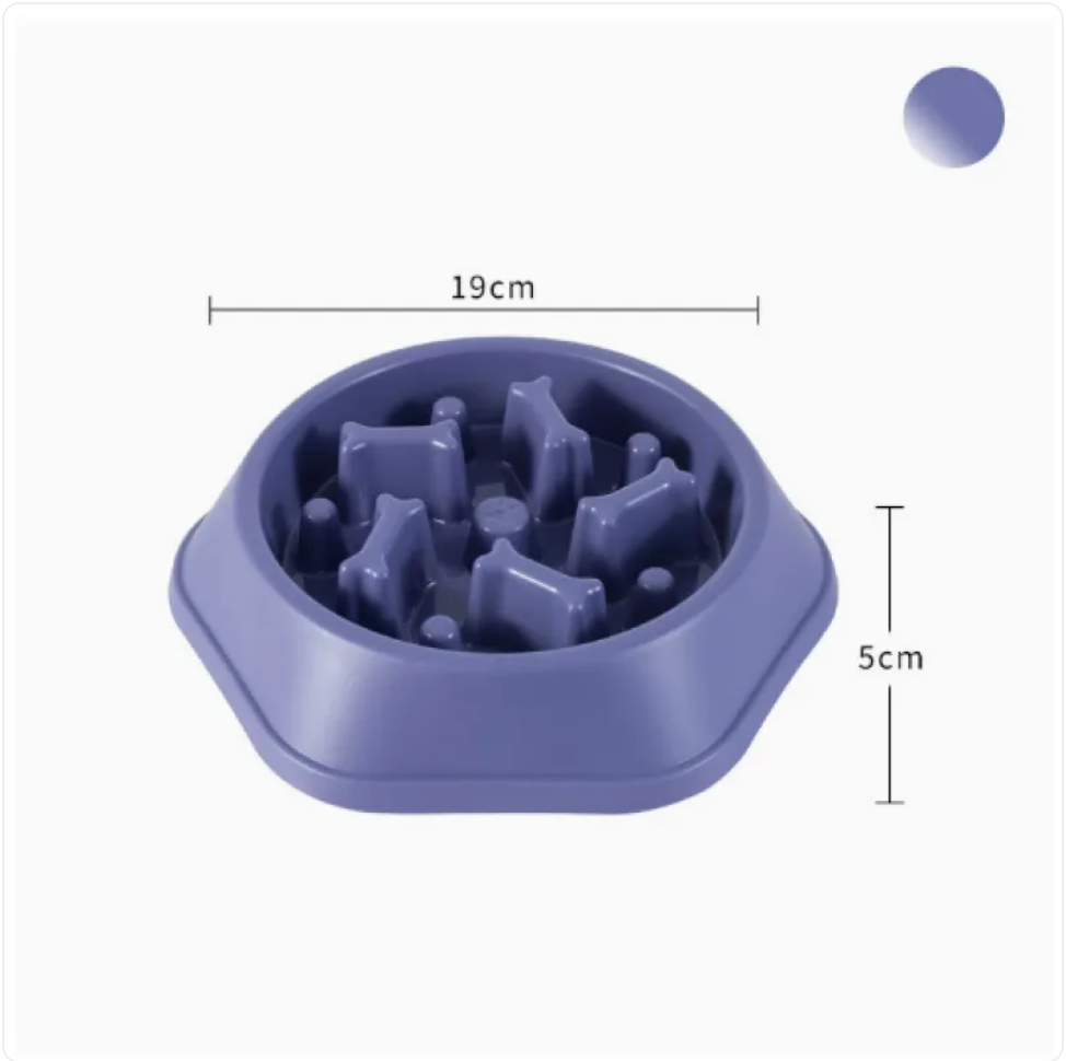 Healthy Pace Dog Bowl