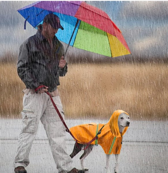 Rainproof Pet Coat
