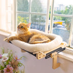 Cozy Cat Window Lounge