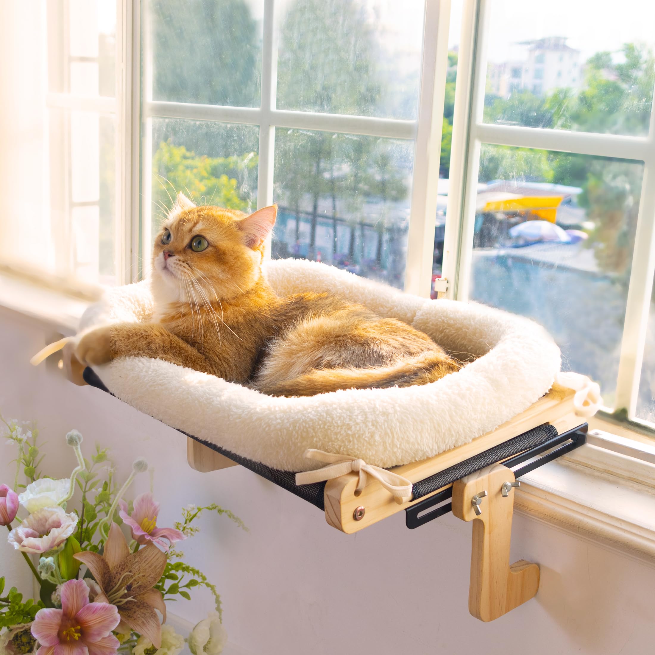 Cozy Cat Window Lounge