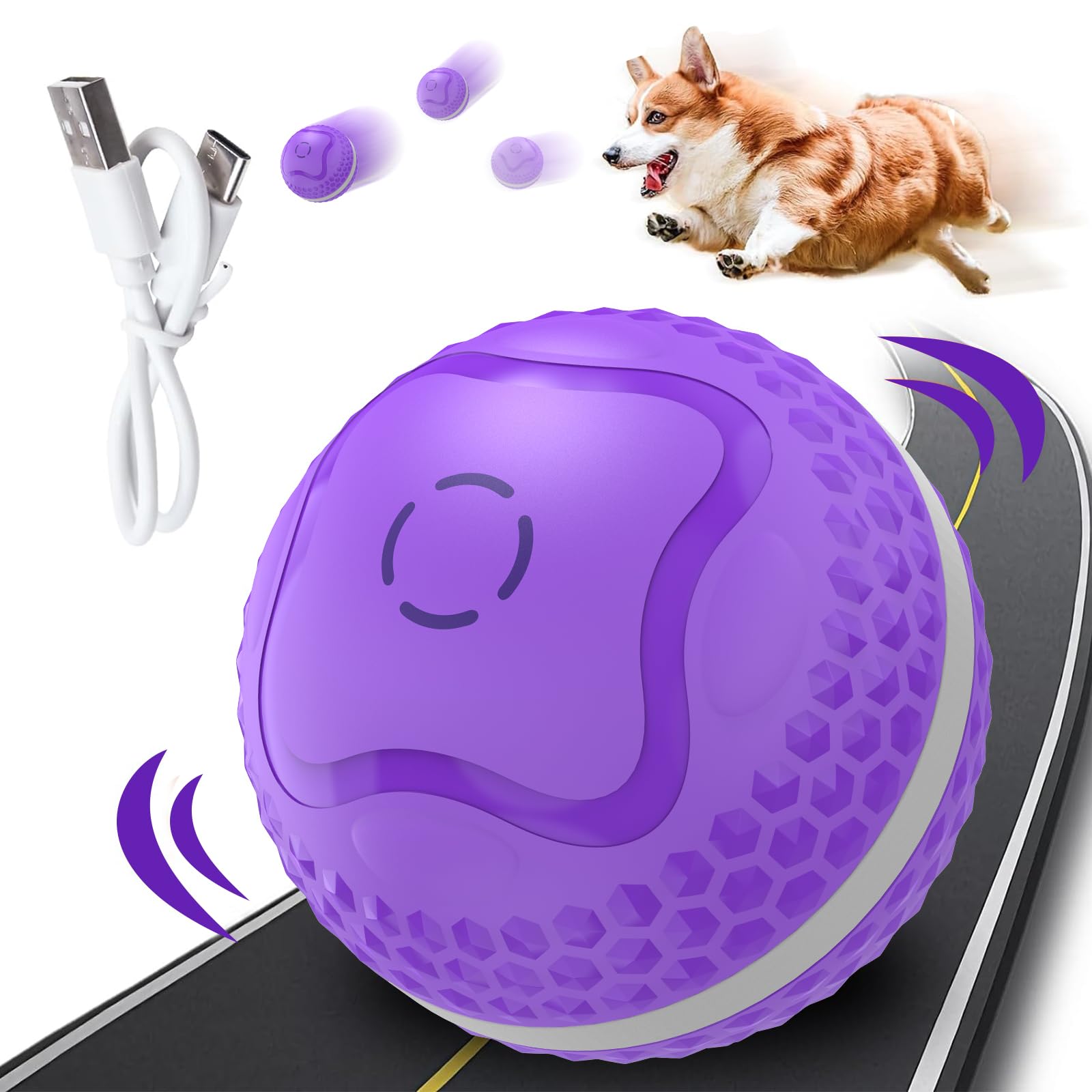 Peppy Pooch Play Ball