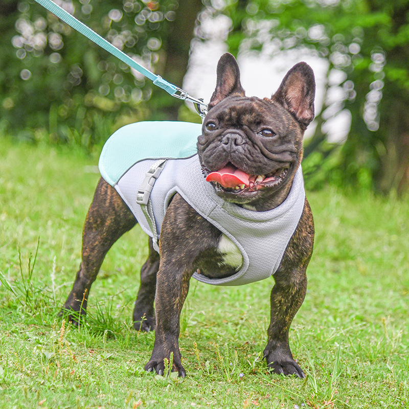 Pet Chill Vest