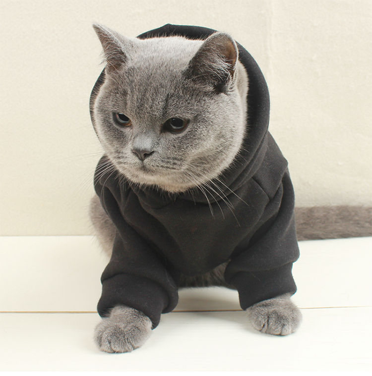 Custom Tailored Pet Sweatshirts