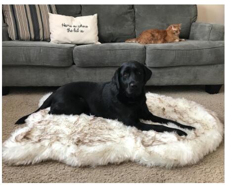 Deluxe Faux Fur Dog Mat for Large Breeds